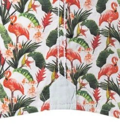 Lucky de Luca Hemd Nyro 91107/1 Popeline, Multicolor gemustert, Multicolor -hemdenverkauf 340336 norm4